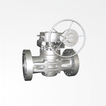 Sleeve type plug valve